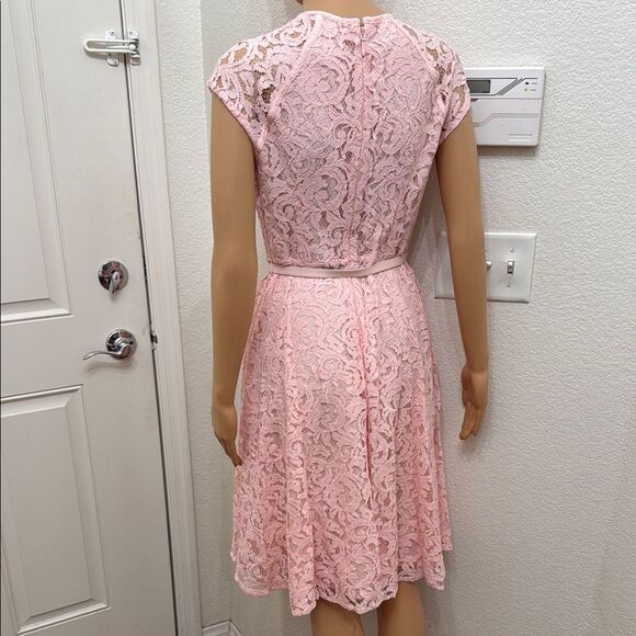 Eva Mendes New York Co Pink Lace A Line Flutter Short Sleeve Midi Dress Sz 4 - Picture 7 of 17